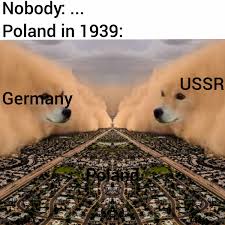R Historymemes On Twitter The Ww2 Meme Https T Co Dtnusdrjj9 Bit.ly/memenadedankapparel use code meme for an extra 5% discount ($49+)! r historymemes on twitter the ww2