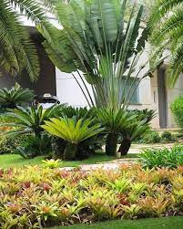 55 Beautiful Tropical Plants For Backyard Landscape Ideas To Make Your Home More A Tropical Landscape Design Tropical Landscaping Tropical Backyard Landscaping