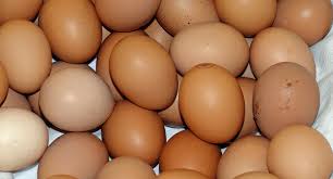 Whats The Deal With White Vs Brown Chicken Eggs