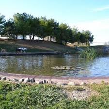 Lake eufaula has approximately 143,000 acres of water and over 600 miles of shoreline. Photos At Bark And Stay Luxury Pet Resort Davenport Ia
