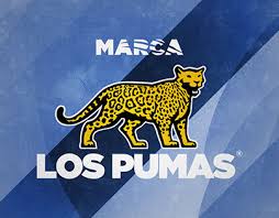 Yeah, it's true, the animal in the logo is a jaguar, isn't a cougar. Los Pumas Projects Photos Videos Logos Illustrations And Branding On Behance