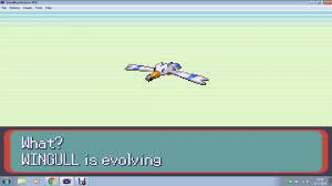 Pokemon Ruby Sapphire Wingull Evolves Into Pelipper