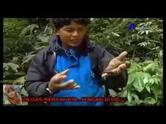 Namanya melambung berkat sinetron emak ijah. Pinterest