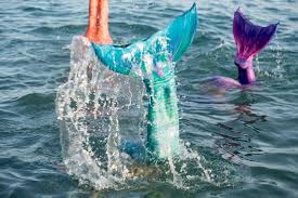 Image result for real mermaid