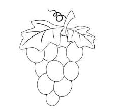 70 sketsa gambar buah buahan dalam keranjang halaman mewarnai gambar buah apel yang tidak berwarna koleksi gambar hd source: 11 Sketsa Buah Buahan Yang Simple Dan Mudah Broonet