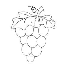 Memiliki rasa manis dan tekstur unik, buah apel memiliki banyak manfaat dan khasiat menjadikan buah ini banyak digemari dan dikonsumsi orang. 11 Sketsa Buah Buahan Yang Simple Dan Mudah Broonet