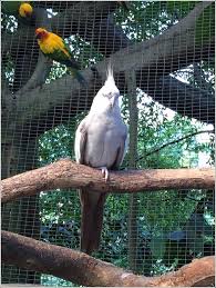 Gear up for an aerial adventure on malaysia's longest flying fox and soar to great heights on incredible rides such as the bungee jump. Sunway Lagoon Wildlife Park And Petting Village Home Is Where My Heart Is