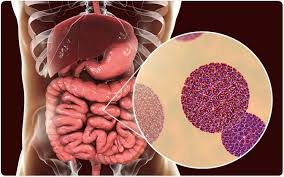 Image result for Rotavirus