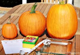 Clean out or have your child help if they are old enough clean out the seeds. 8 Pumpkin Activities For Preschool Pre K Pages
