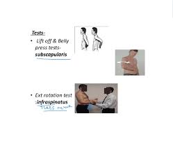 Image result for Lift-Off Subscapularis Test
