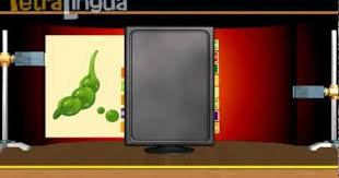 French For Kids Les Fruits Et Les Legumes Www Petralingua Com Teaching French French Lessons French Songs