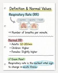 Image result for Respiratory Rate
