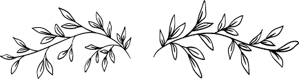 See white flower black background stock video clips. Aesthetic Black And White Flower Transparent Background Novocom Top