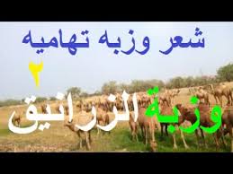 جميع العناوين على الخريطة وأرقام الهواتف وساعات العمل والصور والتعليقات. ÙˆØ²Ø¨Ø© Ø§Ù„Ø§Ø¹Ø±Ø§Ø³ ÙÙŠ ØªÙ‡Ø§Ù…Ø© Ù…Ø¬Ø²Ø±Ø© Ù…Ø±ÙˆØ¹Ø© ØªØ­Ø¯Ø« Ø§Ù„Ø§Ù† ÙÙŠ Ù…Ø¯ÙŠÙ†Ø© Ù…Ø£Ø±Ø¨ Underrated Wallpaper