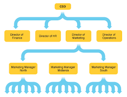 12 13 Organizational Structure Of A Company Lasweetvida Com