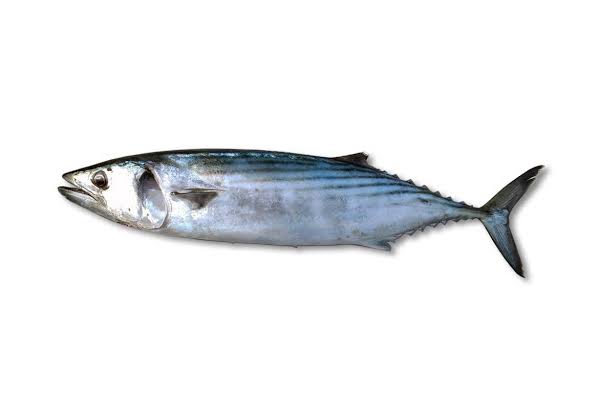 Görsel