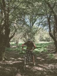 Epping forest + join group. Top Things To Do In Epping Forest Globalhelpswap Epping Forest Epping Stuff To Do