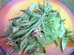 Tak perlu lagi mengutip daun yang bertabur selepas mandi (menyusahkan ibu dalam pantang untuk. Menyediakan Herba Mandian Selepas Bersalin Vitamin Cerdik By Coach Anah Ahmad