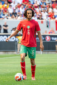 Ayyoub Bouaddi - Wikipedia