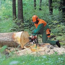 126) for free in pdf. Stihl Chainsaw Ms 460 R Ciampelli Com
