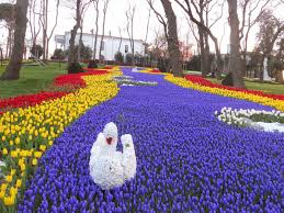 istanbul istanbul tulip festival emirgan park tulip festival flower show tulips