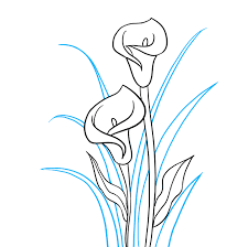 How To Draw A Calla Lily Really Easy Drawing Tutorial Lilies Drawing Flower Drawing Lilly Flower Drawing