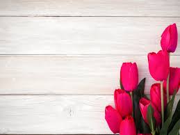 These sympathy flower arrangements can bring some measure of comfort and solace in their time of need. Helping A Friend Grieving The Loss Of A Pet Funeral Basics