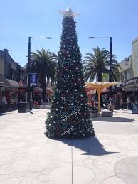 Christmas Tree Acland Street 2016 St Kilda Christmas Tree Tree