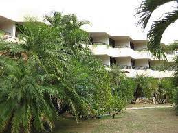 Cada año aquí en blao los cactus. Junior Oceanview Suites Picture Of Be Live Adults Only Los Cactus Cuba Tripadvisor