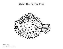 Tropical fish coloring page puffer fish coloring pages printable Puffer Fish Coloring Page