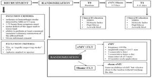 Frontiers Short Term Effects Of Focal Muscle Vibration On