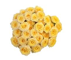 Display your vase away from direct sunlight, heat vents, and. Bouquets In Floral Department Kroger