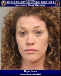 Mark Herman, Harris County Constable Precinct 4