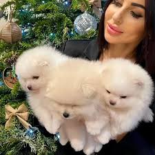 Ali Alman Muhammad (@daniel_jack_mark) • Instagram photos and videos