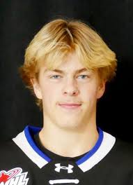 Daniel Vaillant Hockey Stats and Profile at hockeydb.com