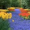 We list some of the top flower delivery services in the area, so if you're looking for next day flowers or even flowers for delivery today, this. Https Encrypted Tbn0 Gstatic Com Images Q Tbn And9gct7eegtbeetvncgm6vexcryz1otanaqsduxvy4b9nnyqztu Pye Usqp Cau
