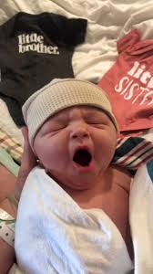 Donny Knodel's Instagram, Twitter & Facebook