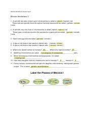 Meiosis tutorial worksheet answer key, mitosis meiosis vocabulary worksheet, meiosis terminology worksheet, meiosis worksheet genome british columbia, meiosis chromosome worksheet. Malicah Cain Meiosis I Worksheet Pdf Meiosis Worksheet Answer Key Meiosis Worksheet 1 A Cell With Two Pairs Of Each Set Of Chromosomes Is Called A Course Hero