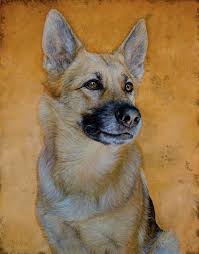 Dana Hawk Oil Bella Dog Portraits Pet Portraiture Animal Paintings