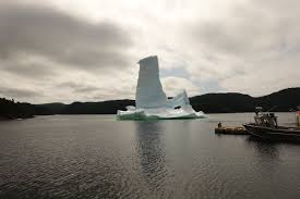 CINDY'S SNAPSHOT: Debra Webber, Moreton's Harbour, N.L.