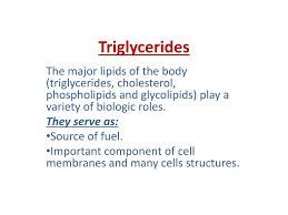 They perform essential functions in providing energy and act as receptors and. Ppt Triglycerides Powerpoint Presentation Free Download Id 4505039