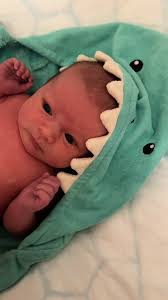 DINA OLIVIA ARNDT (@dinaolivi)