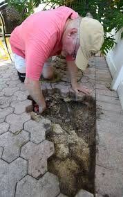 So having one of those ultrasonic devices in your backyard not a source of. Davenport Man Calls Late Night Arrest Over Possible Gopher Tortoise Violation Gestapo Use Of Force News The Ledger Lakeland Fl