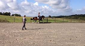 Equestrian Training Center □ Ashdown Forest □ Chelwood Equestrian