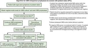 Image result for Group B Streptococcus Prophylaxis