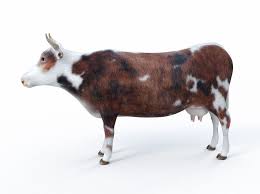 Cow 3d Max Cow 3d Model Animals