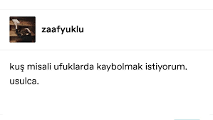 Ayse Adli Kullanicinin Sozler Panosundaki Pin 2020 Alintilar Ozlu Sozler Motivasyon