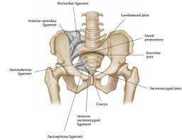 Image result for Functional Leg Length Discrepancy