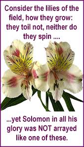 In the king james version of the bible the text reads: Pin On Art Grace 43 Scripture Christ In Me The Love Of God Art Photography Dee Deroll