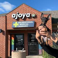 Ajoya Weed Dispensary Louisville: Buy The Best Weed Near You
